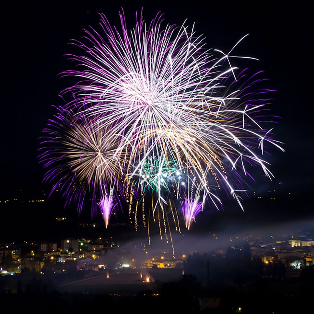 pirotecnica-soldi-gallery-TERRANUOVA_FIREWORKS_2015_AR_54_13